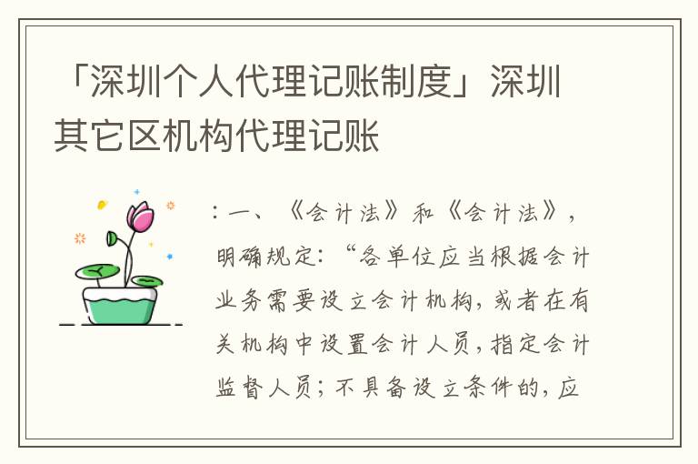 「深圳個人代理記賬制度」深圳其它區(qū)機構(gòu)代理記賬