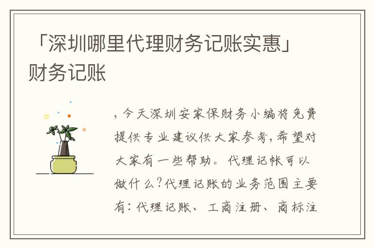 「深圳哪里代理財(cái)務(wù)記賬實(shí)惠」財(cái)務(wù)記賬