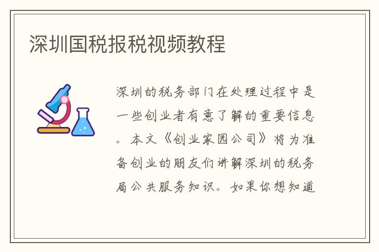 深圳國(guó)稅報(bào)稅視頻教程