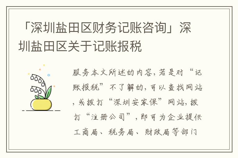 「深圳鹽田區(qū)財(cái)務(wù)記賬咨詢」深圳鹽田區(qū)關(guān)于記賬報(bào)稅
