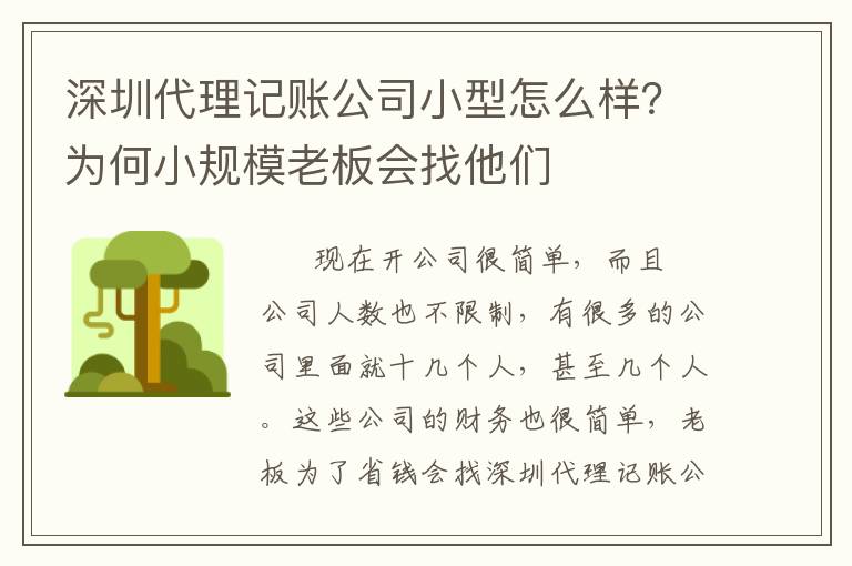 深圳代理記賬公司小型怎么樣？為何小規(guī)模老板會找他們
