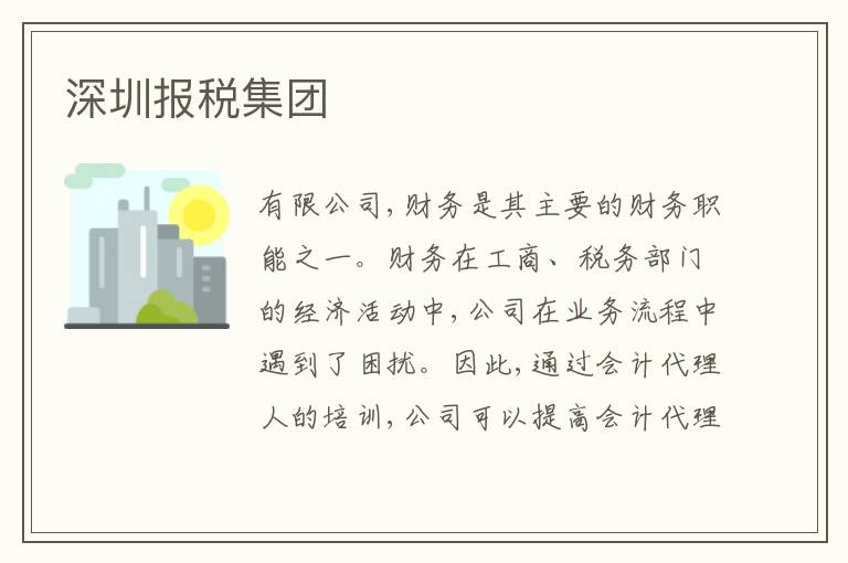 深圳報(bào)稅集團(tuán)