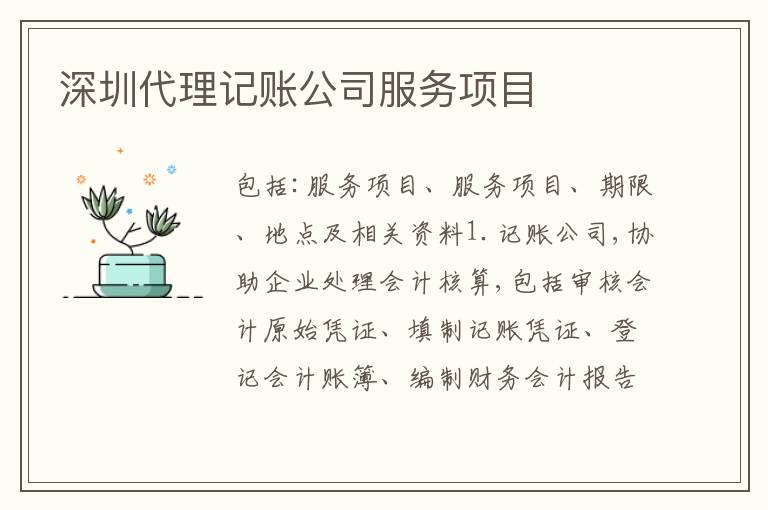 深圳代理記賬公司服務(wù)項目