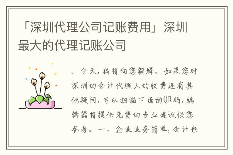 「深圳代理公司記賬費(fèi)用」深圳最大的代理記賬公司
