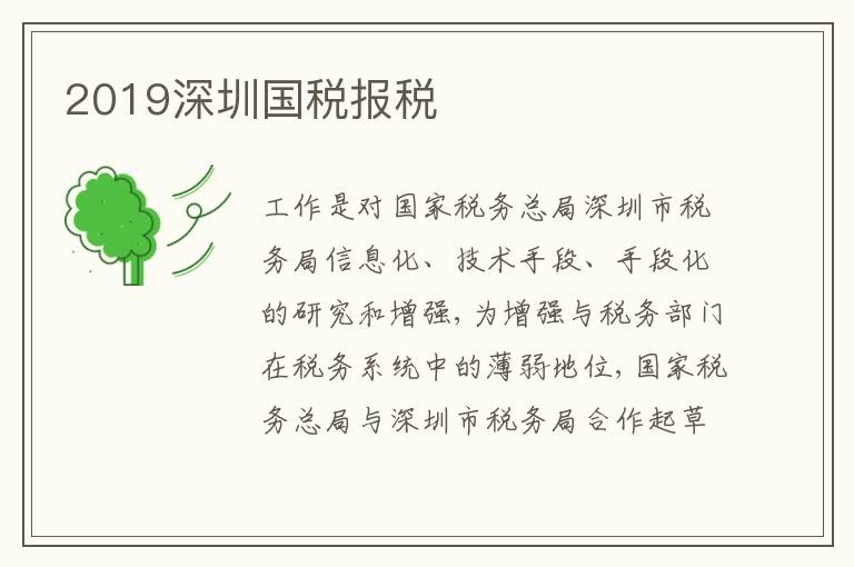2019深圳國(guó)稅報(bào)稅