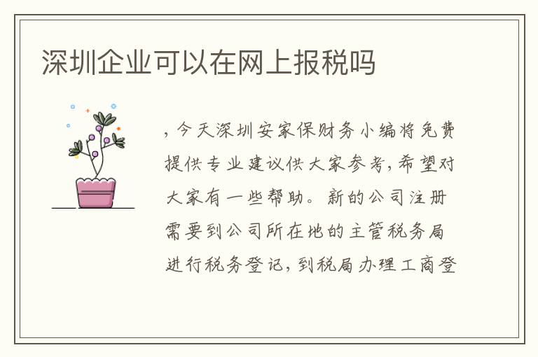 深圳企業(yè)可以在網(wǎng)上報稅嗎