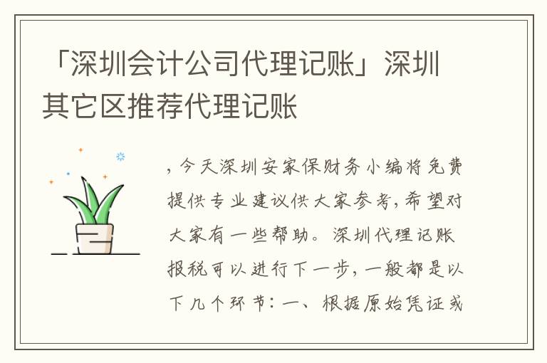 「深圳會(huì)計(jì)公司代理記賬」深圳其它區(qū)推薦代理記賬