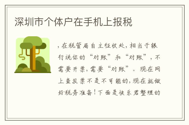 深圳市個(gè)體戶在手機(jī)上報(bào)稅
