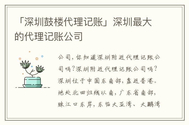 「深圳鼓樓代理記賬」深圳最大的代理記賬公司