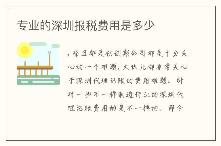 專業(yè)的深圳報稅費用是多少