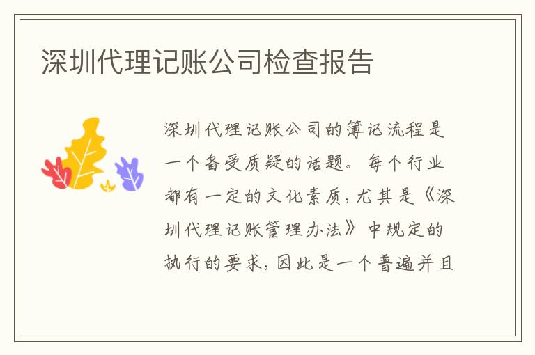 深圳代理記賬公司檢查報(bào)告