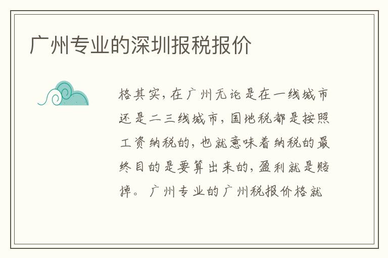 廣州專業(yè)的深圳報稅報價