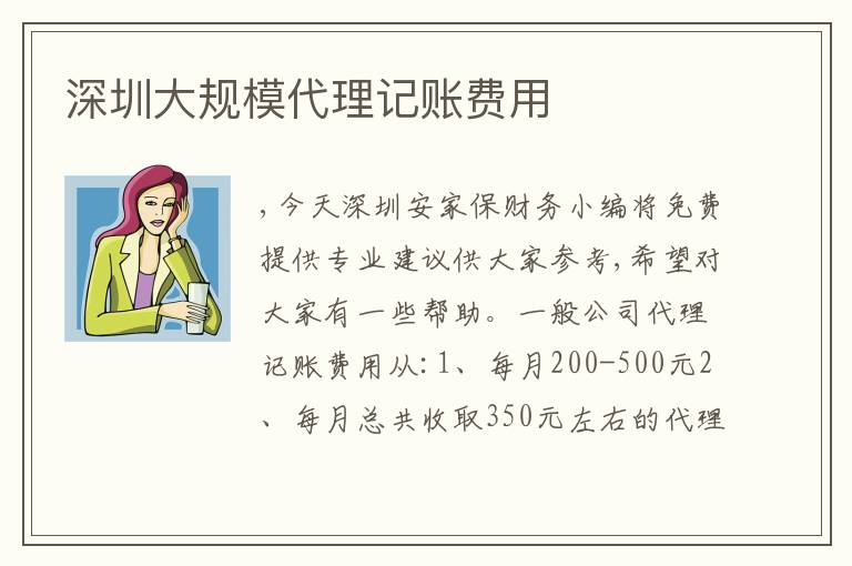 深圳大規(guī)模代理記賬費(fèi)用