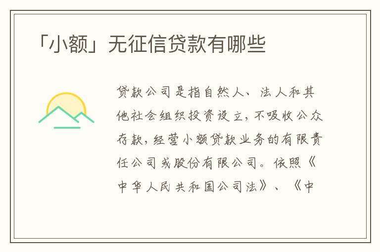 「小額」無(wú)征信貸款有哪些