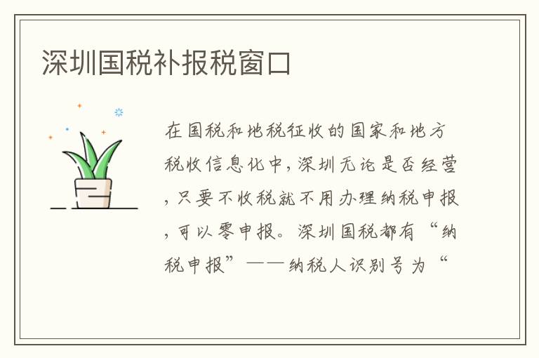深圳國稅補報稅窗口