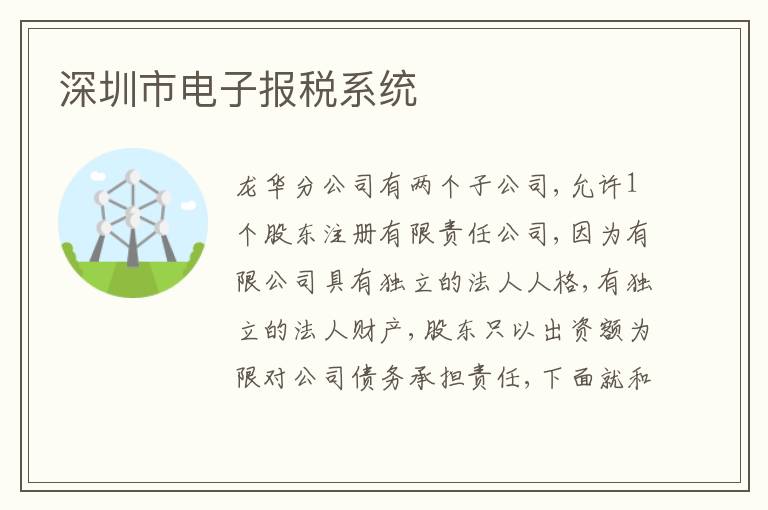 深圳市電子報稅系統(tǒng)