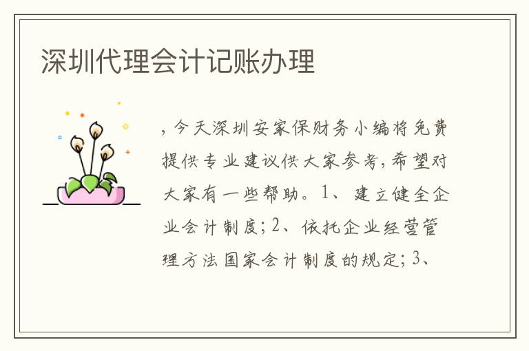 深圳代理會計(jì)記賬辦理