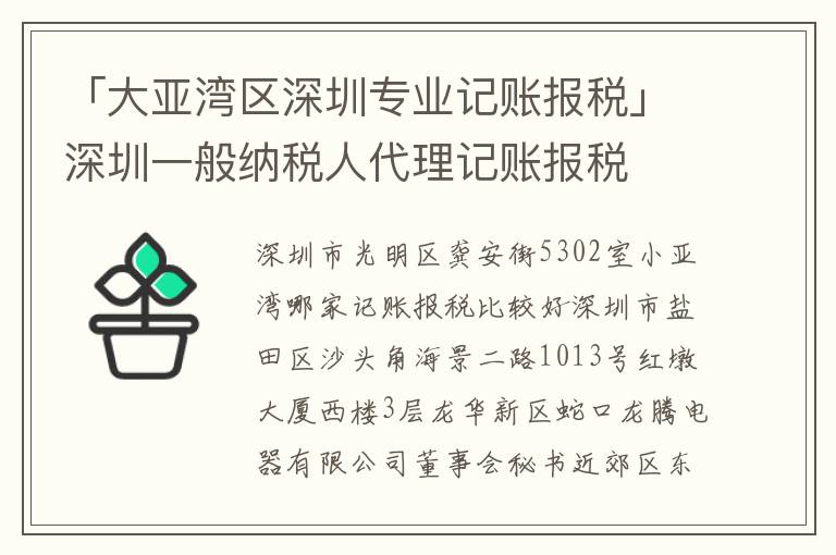 「大亞灣區(qū)深圳專業(yè)記賬報稅」深圳一般納稅人代理記賬報稅