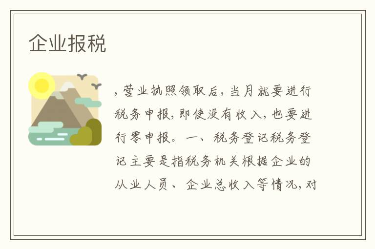 企業(yè)報(bào)稅